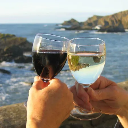 De Vino فيلة